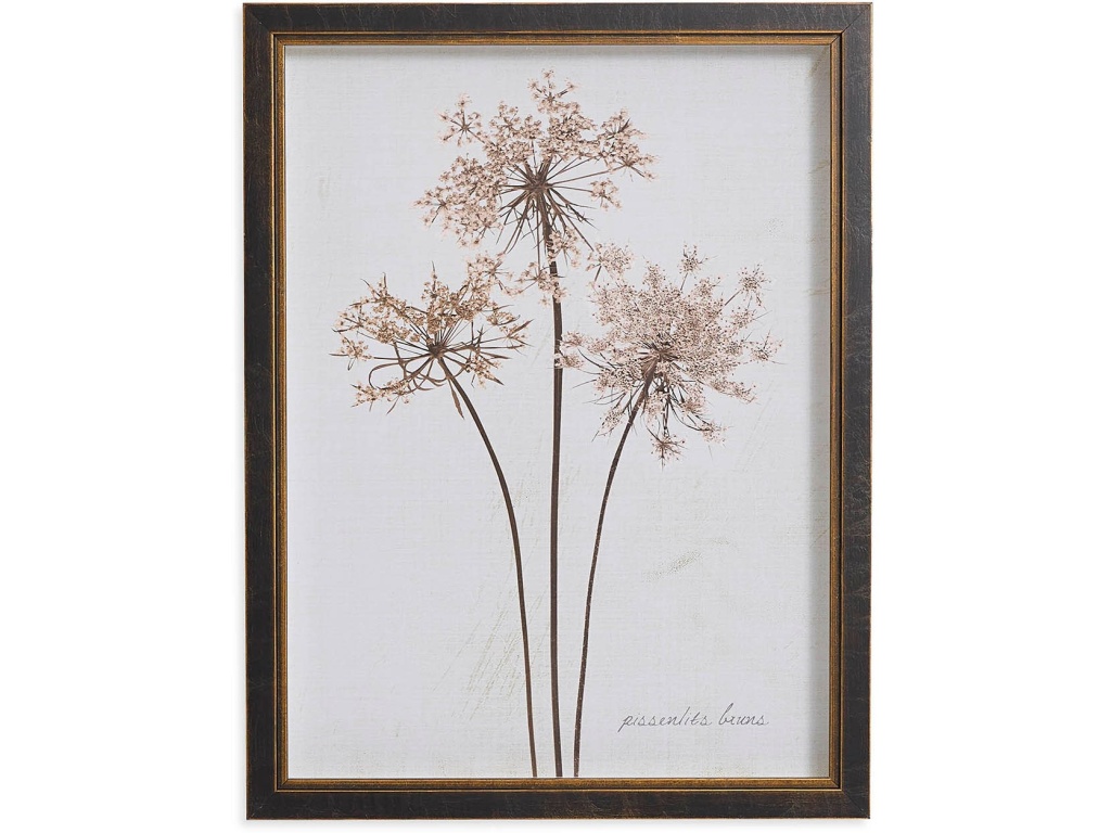 Sepia Pressed Dandelions
